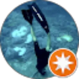 Review From halim budiono