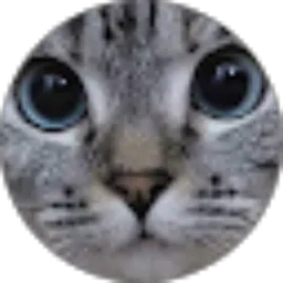 Review From RJF Studio