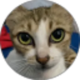 Review From Farlié Rizki