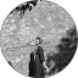 Review From Selma Fiana Nur Ika Saputri