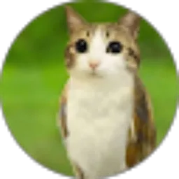 Review From Nicolaus Tommy Prasetyo