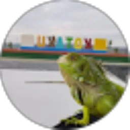 Review From Muhammad Sulkifli