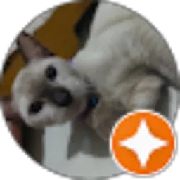 Review From Mrs. Rootherqueen