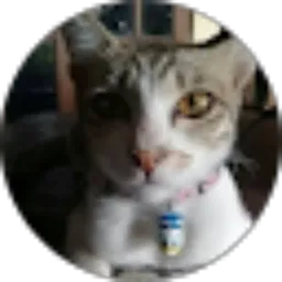 Review From Elen Nèì neko