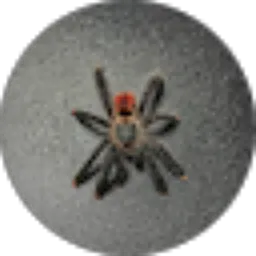 Review From Likar Lee