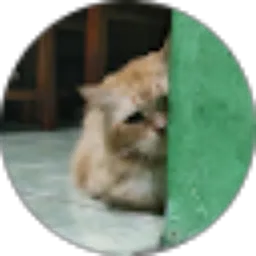 Review From Dian Ayu Damayanti