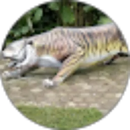 Review From Dhanidzakira2014@gmail.com Dzakira