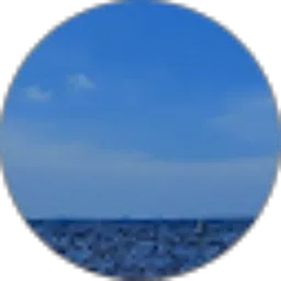 Review From Vicini Spj