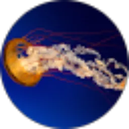 Review From Denny Tambunan