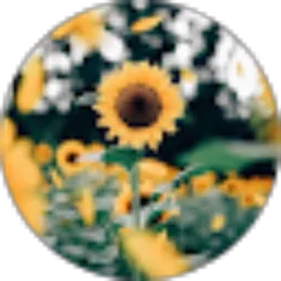 Review From Rahma Yulia Rusparindra