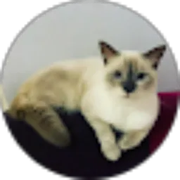 Review From Fitry Rachman