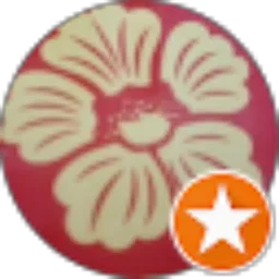 Review From Arunika Meea