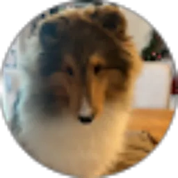 Review From Aurelia Kasmara