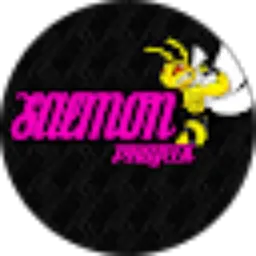 Review From Salmon projeck