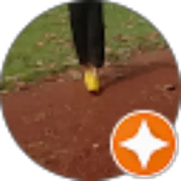 Review From syah fahrian