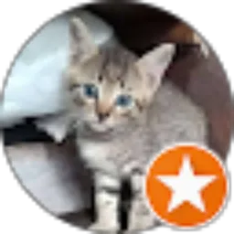 Review From kael rahman