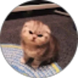 Review From Muhammad Ilham