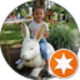 Review From Dedek Carol