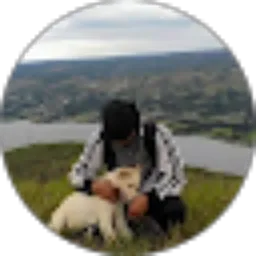 Review From Lando Channel