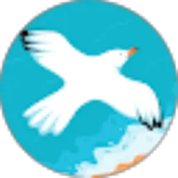 Review From Nur Ghazali