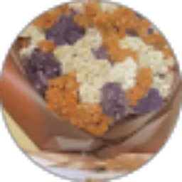 Review From startrek bem