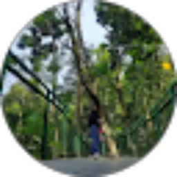 Review From Citra Pratiwi