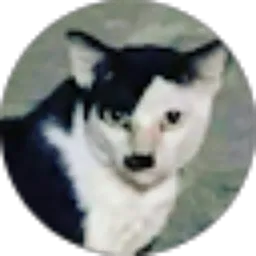 Review From Vincentius Janssen Tera