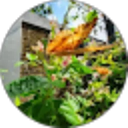 Review From santy cecilia