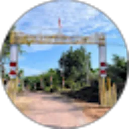 Review From Sehat Tera