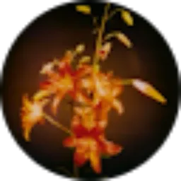 Review From Nadia Putri