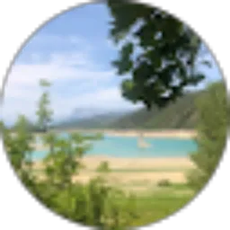 Review From jawas agarwood Indonesia