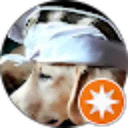 Review From Yuli Hendri Ani