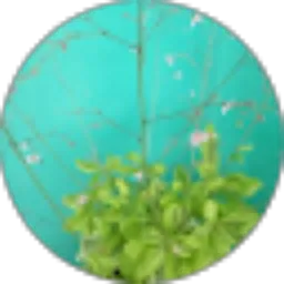 Review From Rizal Uswah