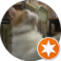 Review From Suryawan Sukanto