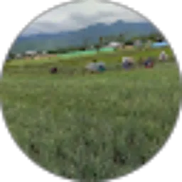 Review From Syamsuddin Arsyad