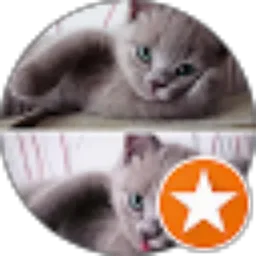 Review From Resti Damayanti