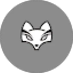 Review From General Foxx