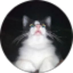 Review From Selvia Amelia