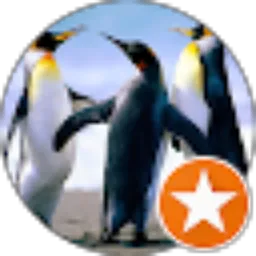 Review From carolina Budiman