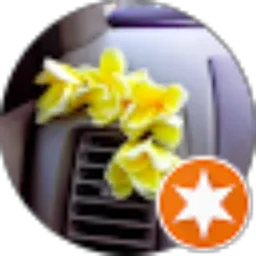 Review From Ila Mufida