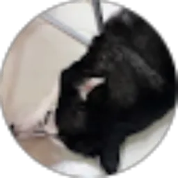 Review From Asenq Tanz94