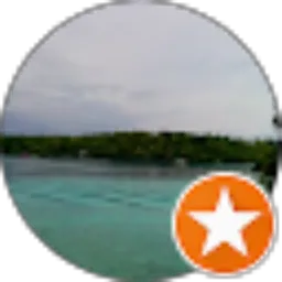 Review From fauzun nahar