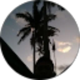 Review From Rudy Salam