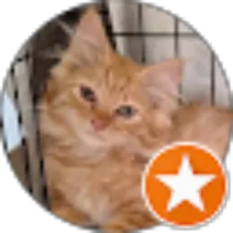 Review From herman sastrawan