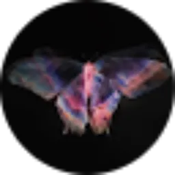 Review From Ellya Umi Amiroh