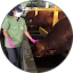 Review From Yemima Anggun Y.