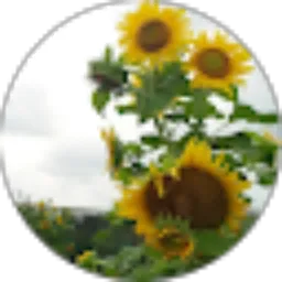 Review From Rika Lailani