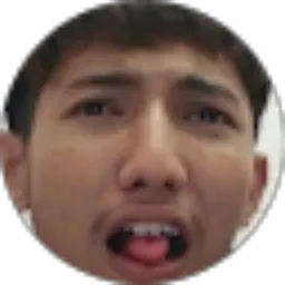 Review From Mirza Alfizar