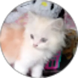 Review From Jey wjay