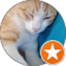 Review From Cipto Yogya